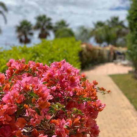 Apartman Your Oasis Of Luxury And Leisure At Gazules Del Sol In Marbella Area - Benahavis Estepona