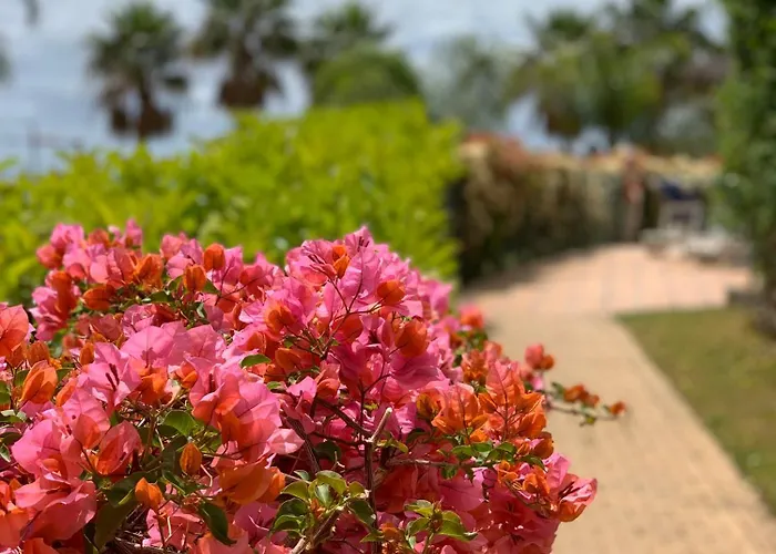 Apartamento Your Oasis Of Luxury And Leisure At Gazules Del Sol In Marbella Area - Benahavis Estepona