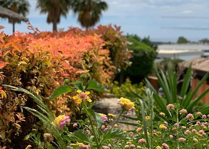 Apartamento Your Oasis Of Luxury And Leisure At Gazules Del Sol In Marbella Area - Benahavis *